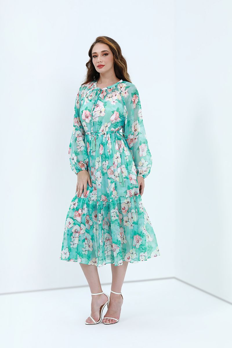 Printed chiffon dress