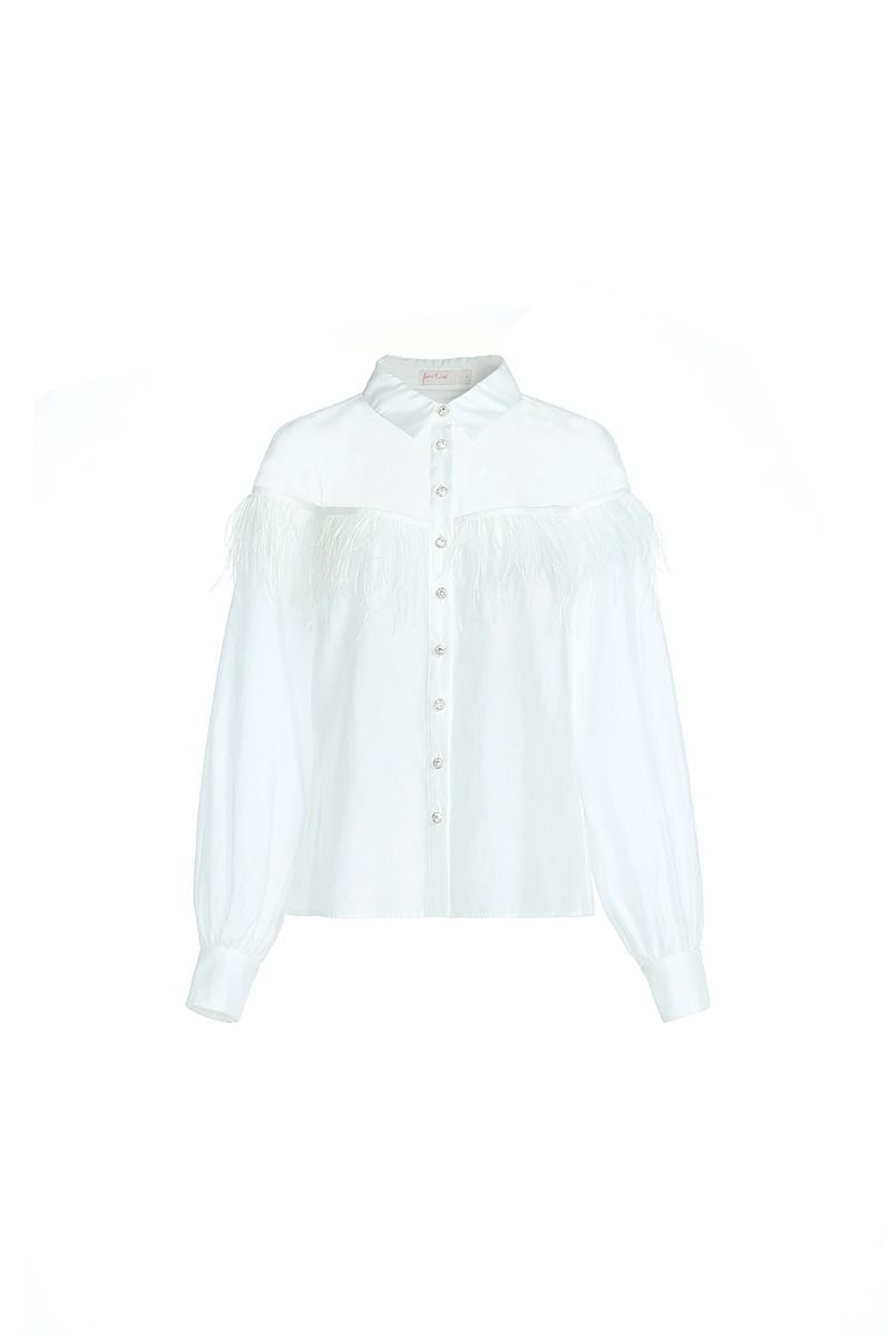 Feather applique shirt