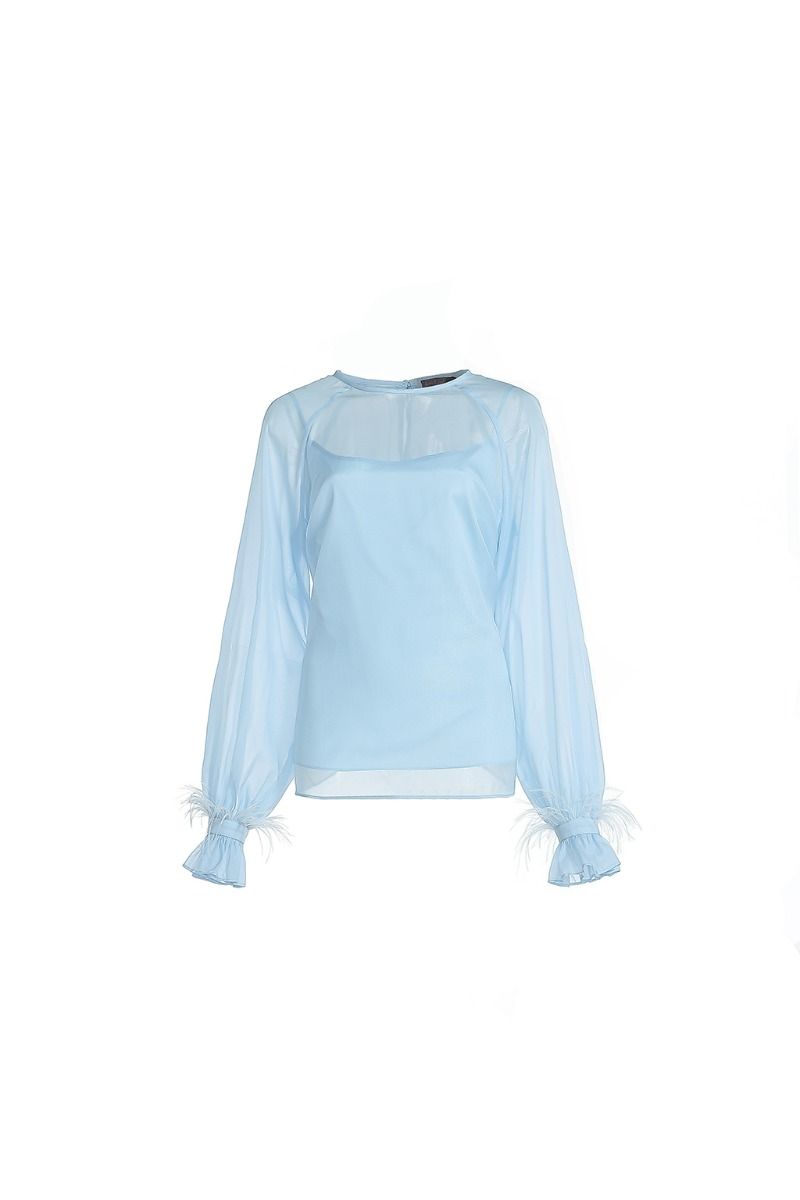 Sheered sleeves blouse